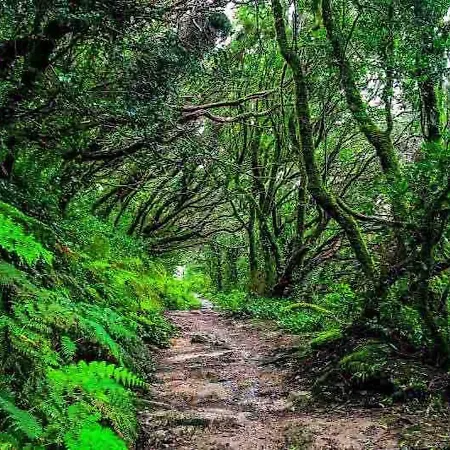 In - Beautiful Sunsets From The Balcony El Roque Santa Cruz de Tenerife